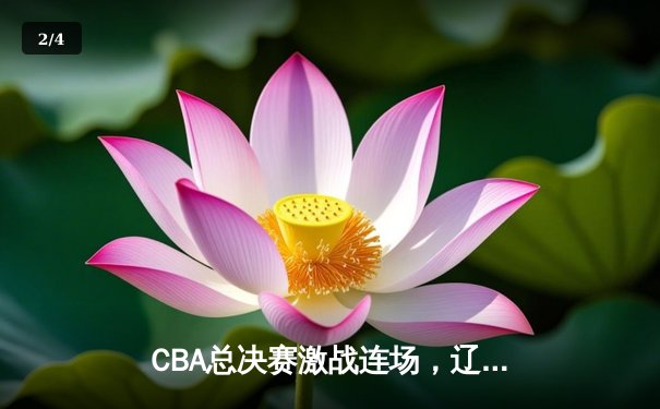 CBA总决赛激战连场，辽宁男篮险胜广东夺得队史第四冠 - 2