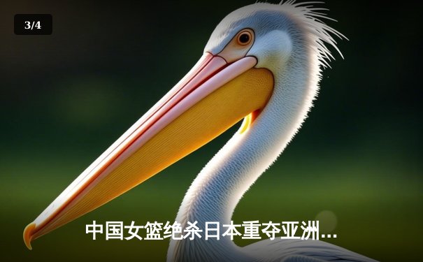 中国女篮绝杀日本重夺亚洲杯冠军 韩旭23+15荣膺MVP - 3